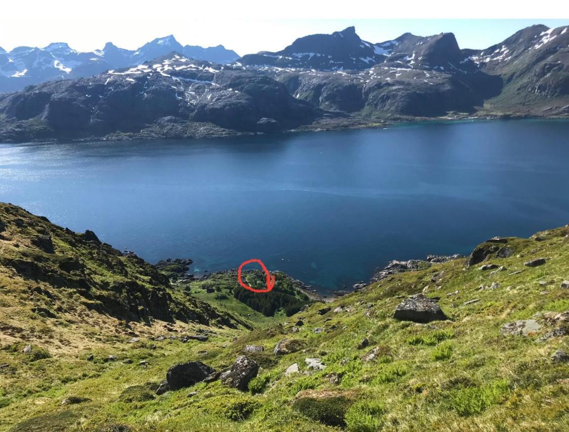 Vettinghytta, Close To The Sea With Amazing View. Gravdal  외부 사진