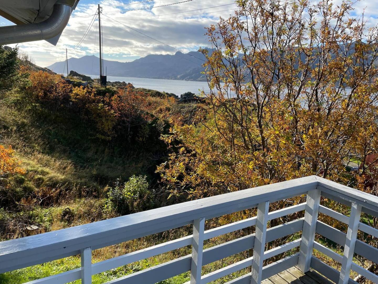 Vettinghytta, Close To The Sea With Amazing View. Gravdal  외부 사진