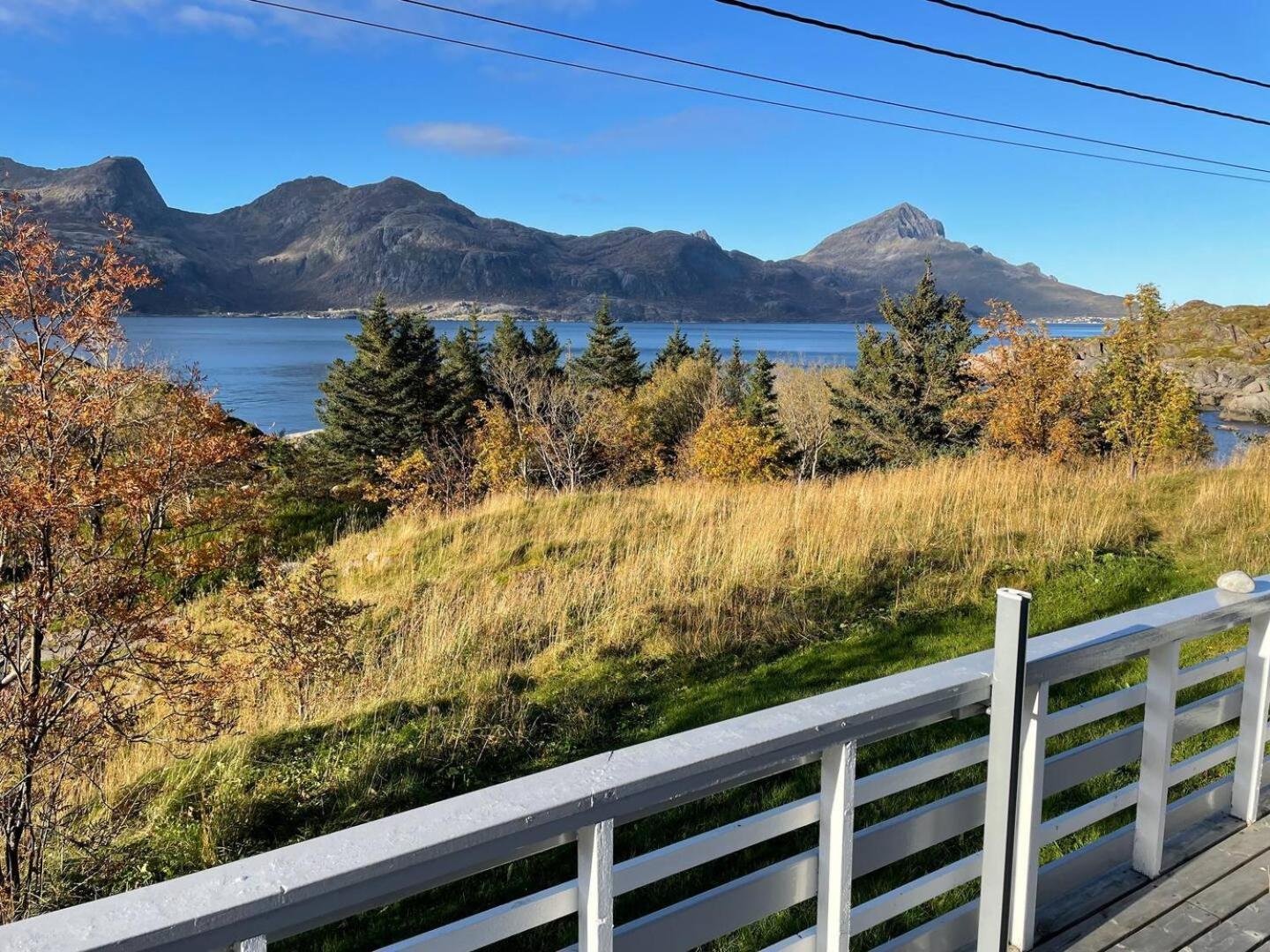 Vettinghytta, Close To The Sea With Amazing View. Gravdal  외부 사진