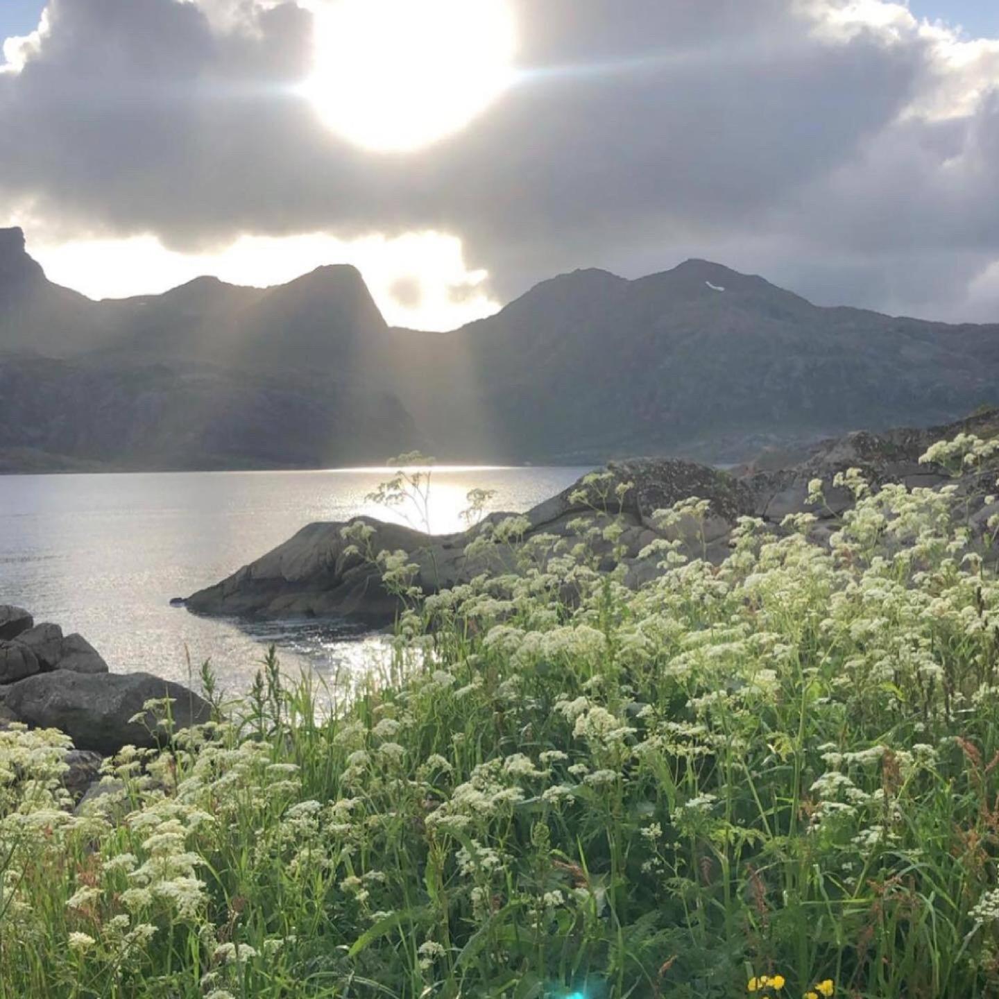 Vettinghytta, Close To The Sea With Amazing View. Gravdal  외부 사진